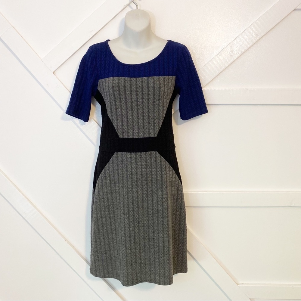 Papillon Blanc Color Block Cable Knit Short Sleeve Mini Dress Gray Sz M